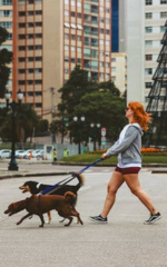 Passeio com cão